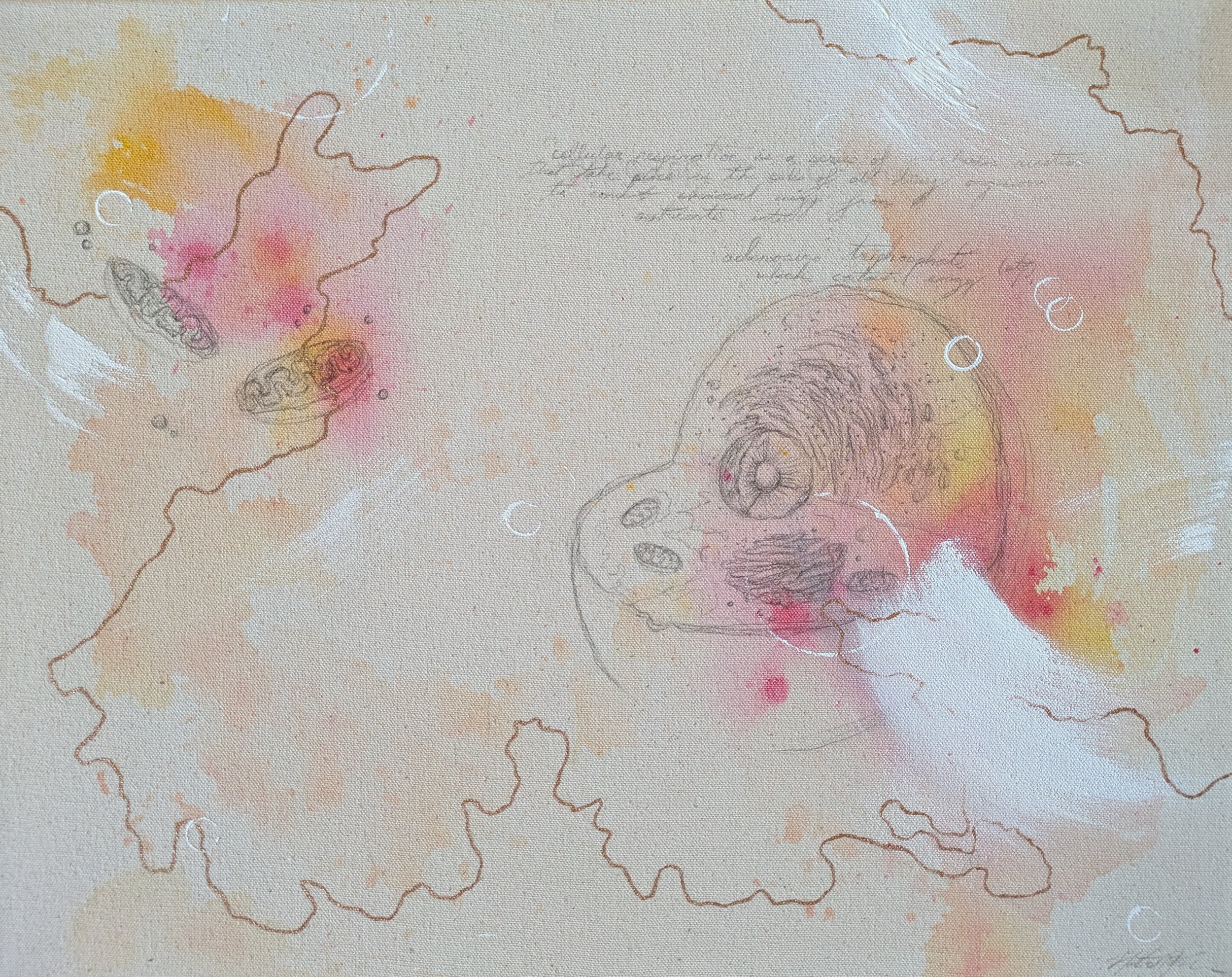 Mitosis | 2024 | Mixed Media | 14 x 10 in
