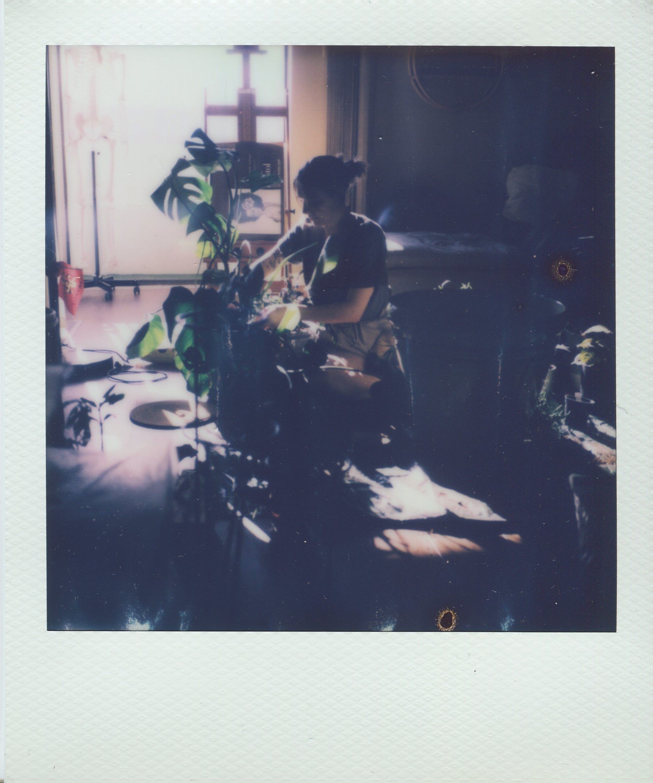 Planting | Polaroid Film | 2024