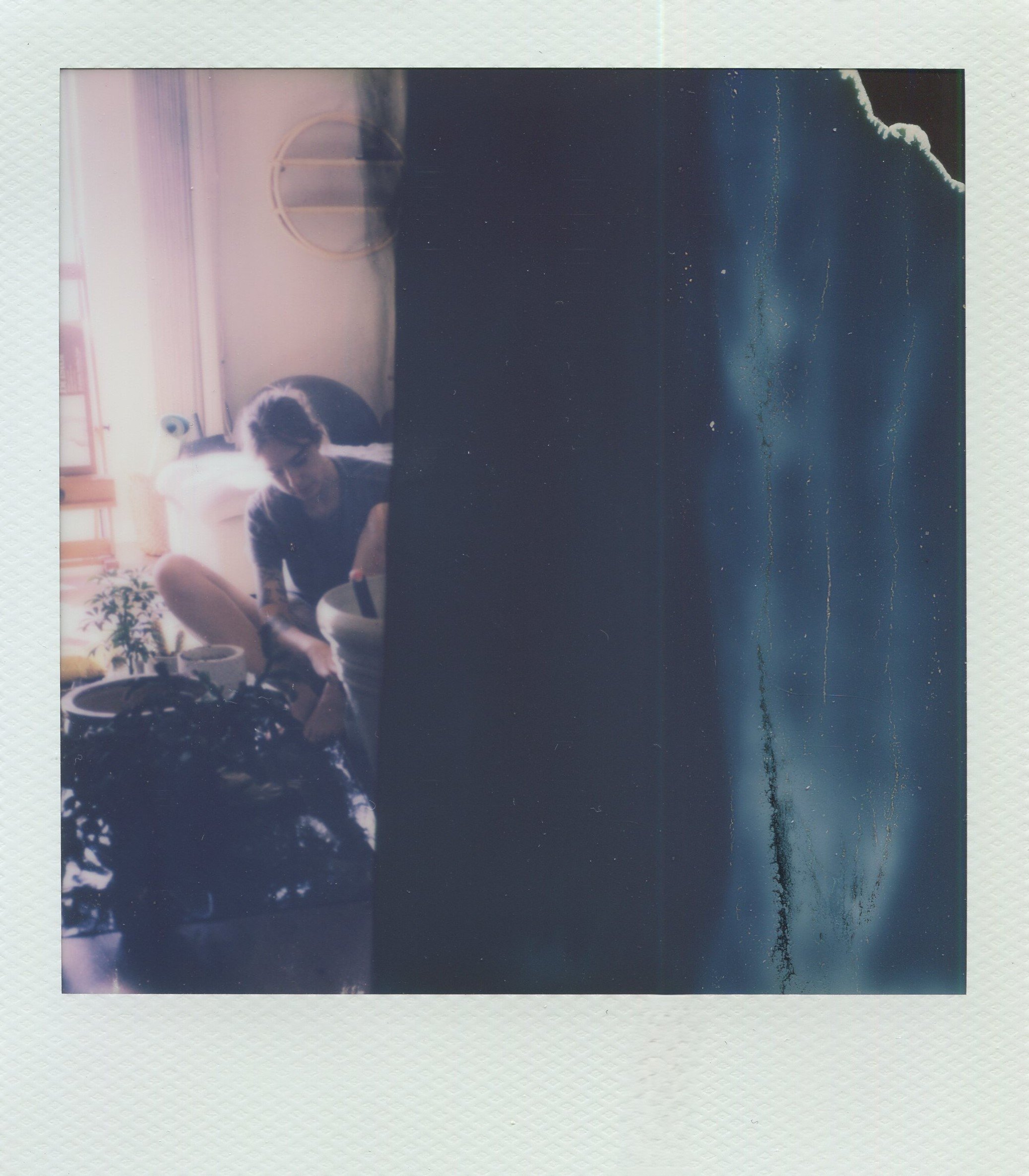 Planting In The Dark | Polaroid Film | 2024