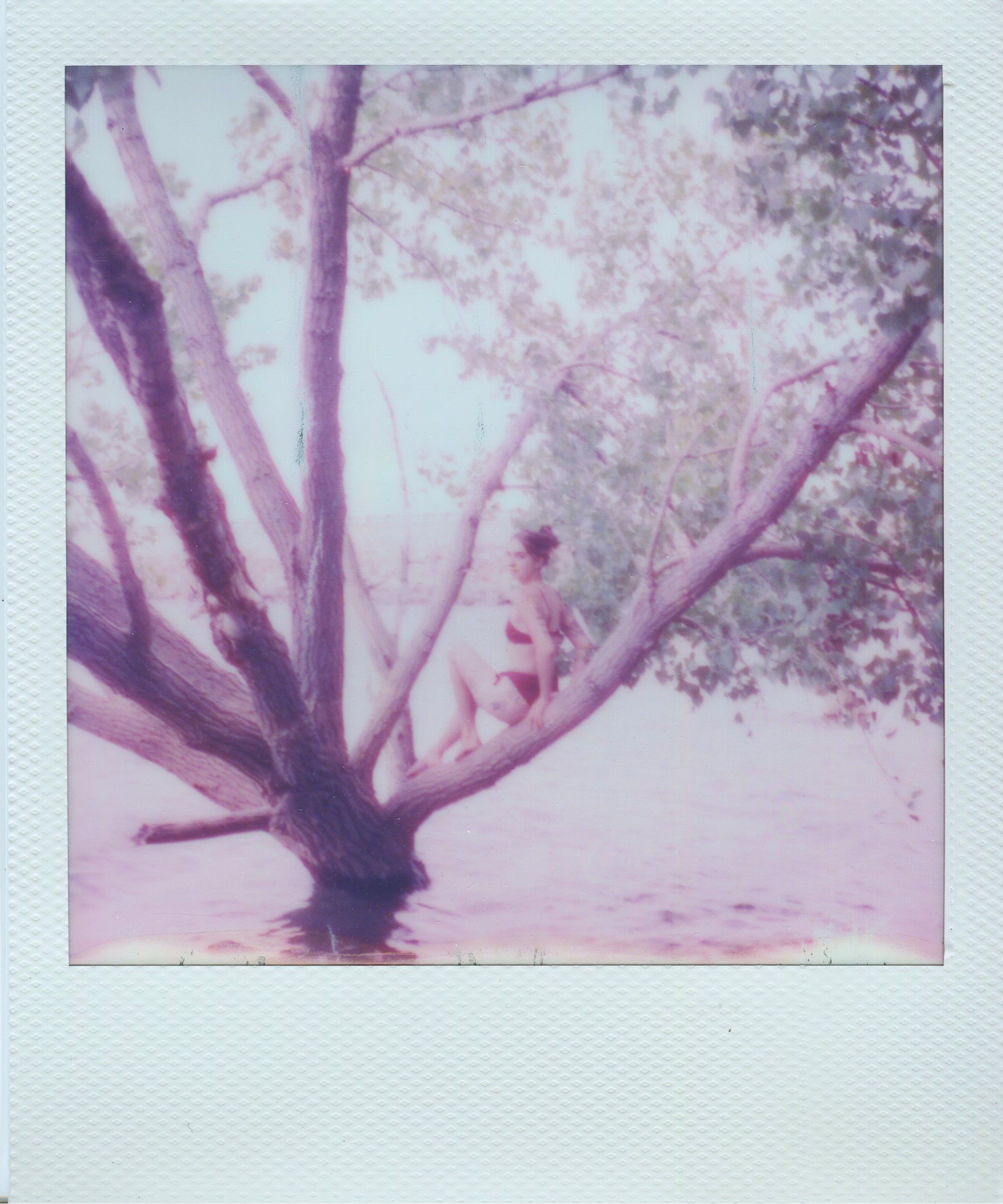 Sweltering Day No. 2 | Polaroid Film | 2023
