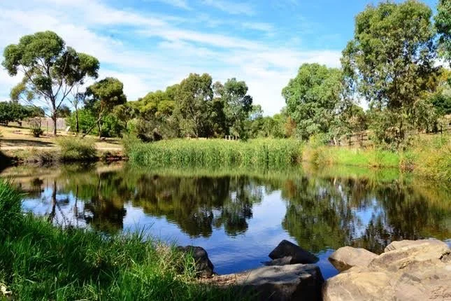 Maintained grounds and pond at a public site