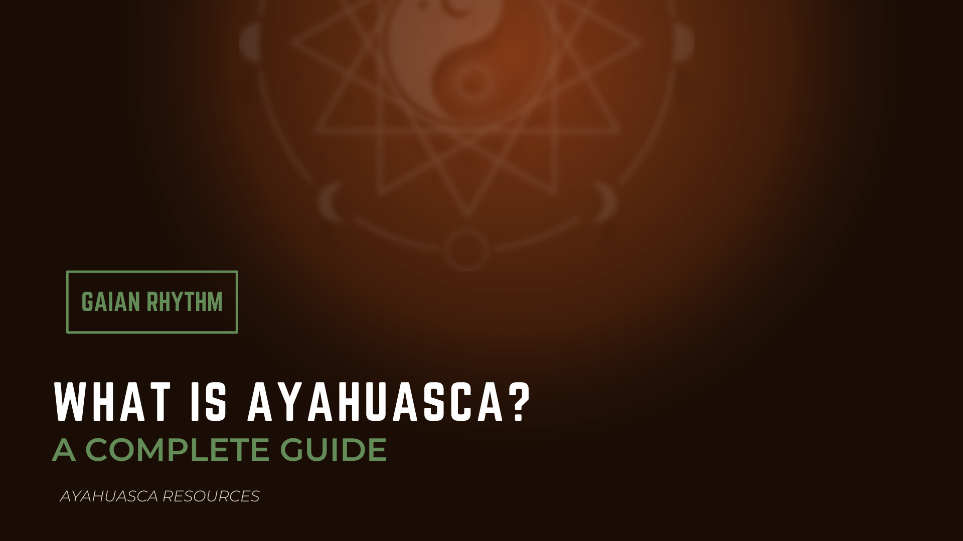 What Is Ayahuasca?