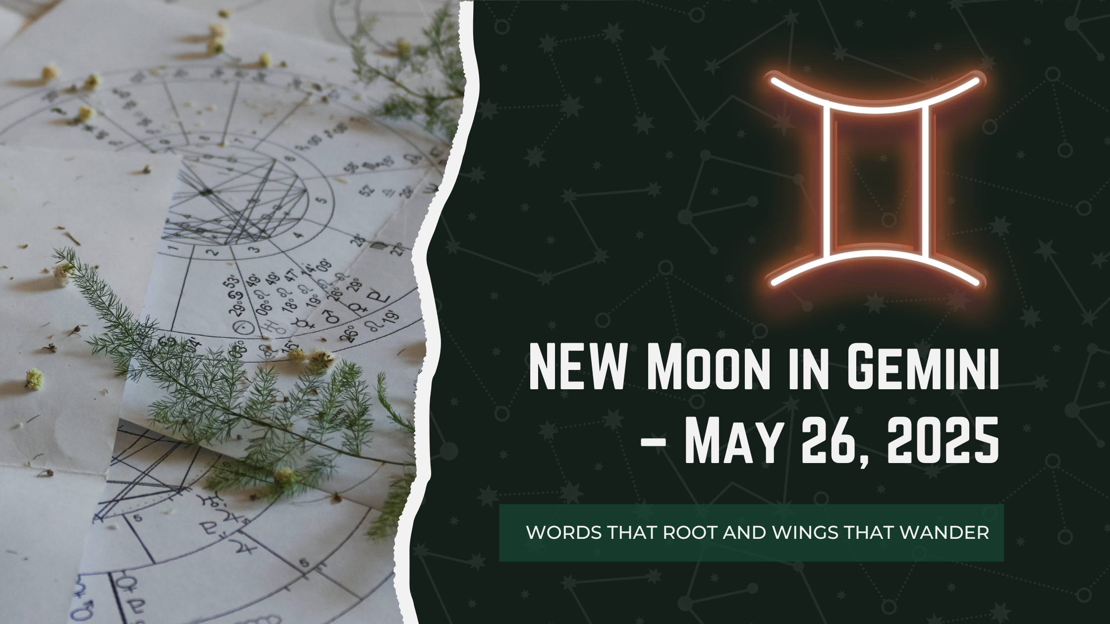 The Gemini New Moon: Words That Root and Wings That Wander