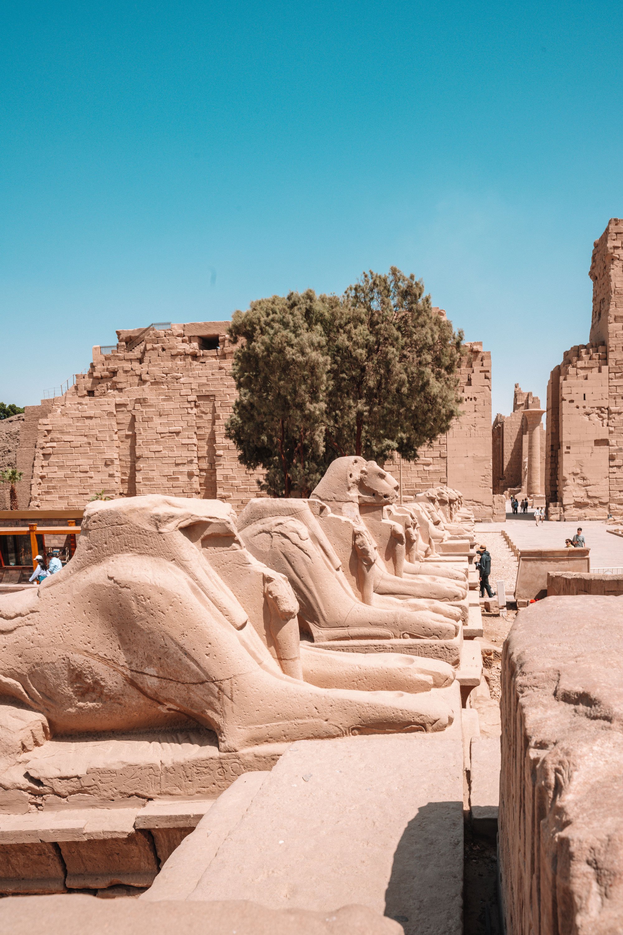 Egypt2023-4302.jpg