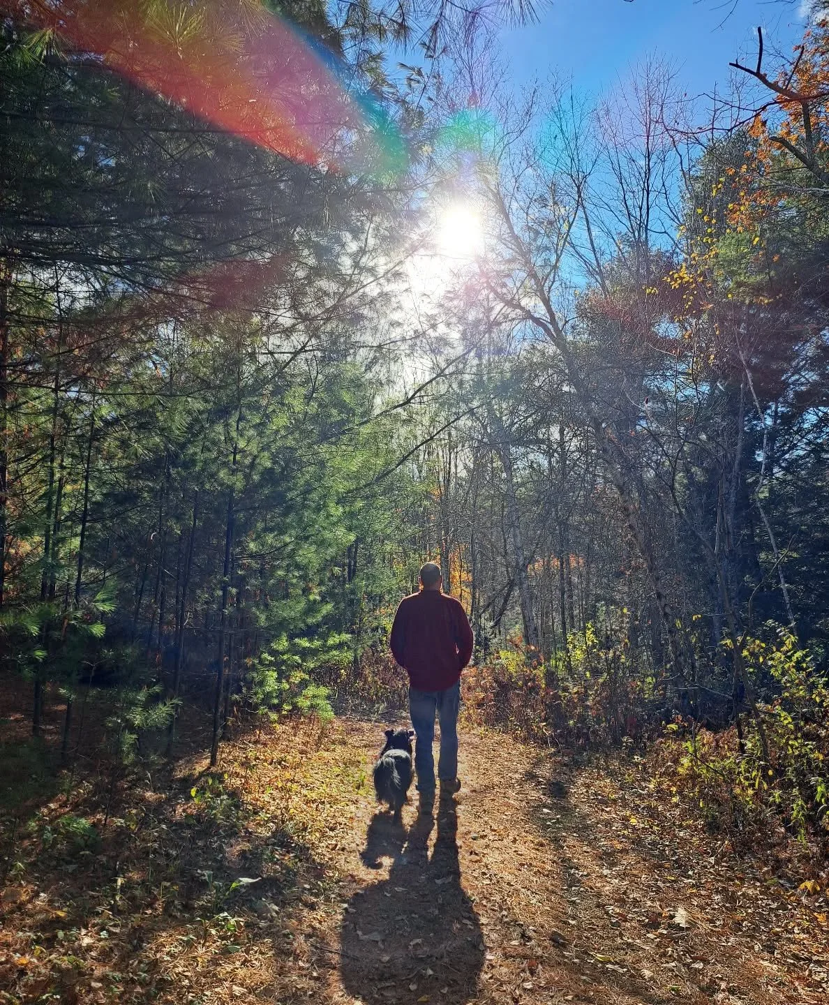 October was stunning! It was also a rollercoaster of emotions, and it passed in a heart-stoppingly fast blink. Now I'm ready to tuck into November in all its quiet, understated beauty 🍂