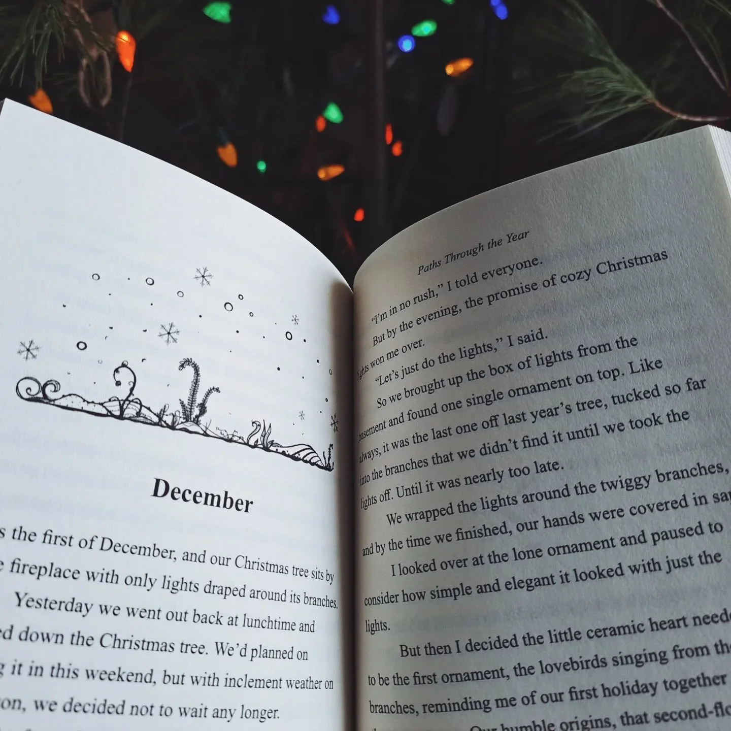 Gently dropping our monthly prompts to go along with Paths Through the Year for those who are reading it as the months turn, or anyone looking for some seasonal prompts.

❄️✨️December Questions✨️❄️

1. While our homes and lives are hustling and bustl