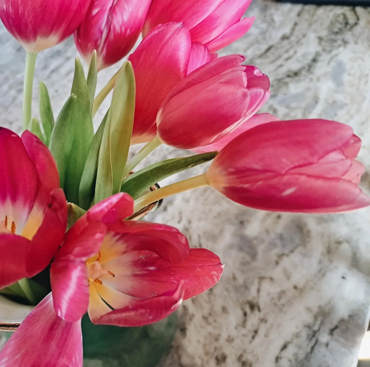 March calls for color, for pinks and spring greens, for hope and trust 🌱