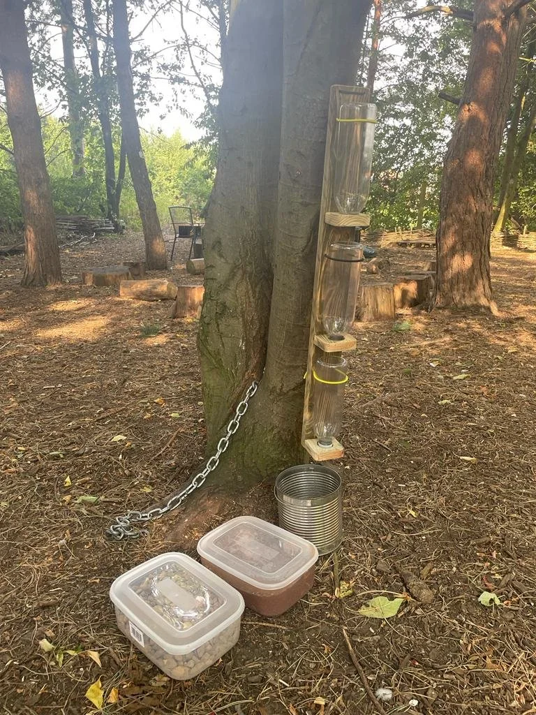 A homemade squirrel proof bird feeder made from plastic bottles mounted on a wooden board attached to a tree with a metal chain, with metal containers and plastic jars on the ground below.