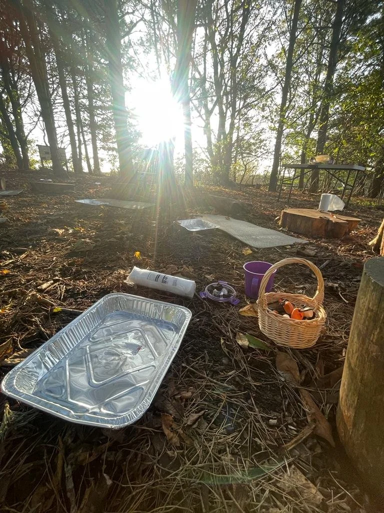 Outdoor scene with sunlight shining through trees, with scattered aluminum trays, a purple bucket, a wicker basket with small objects, and a white bottle on the ground covered with leaves.