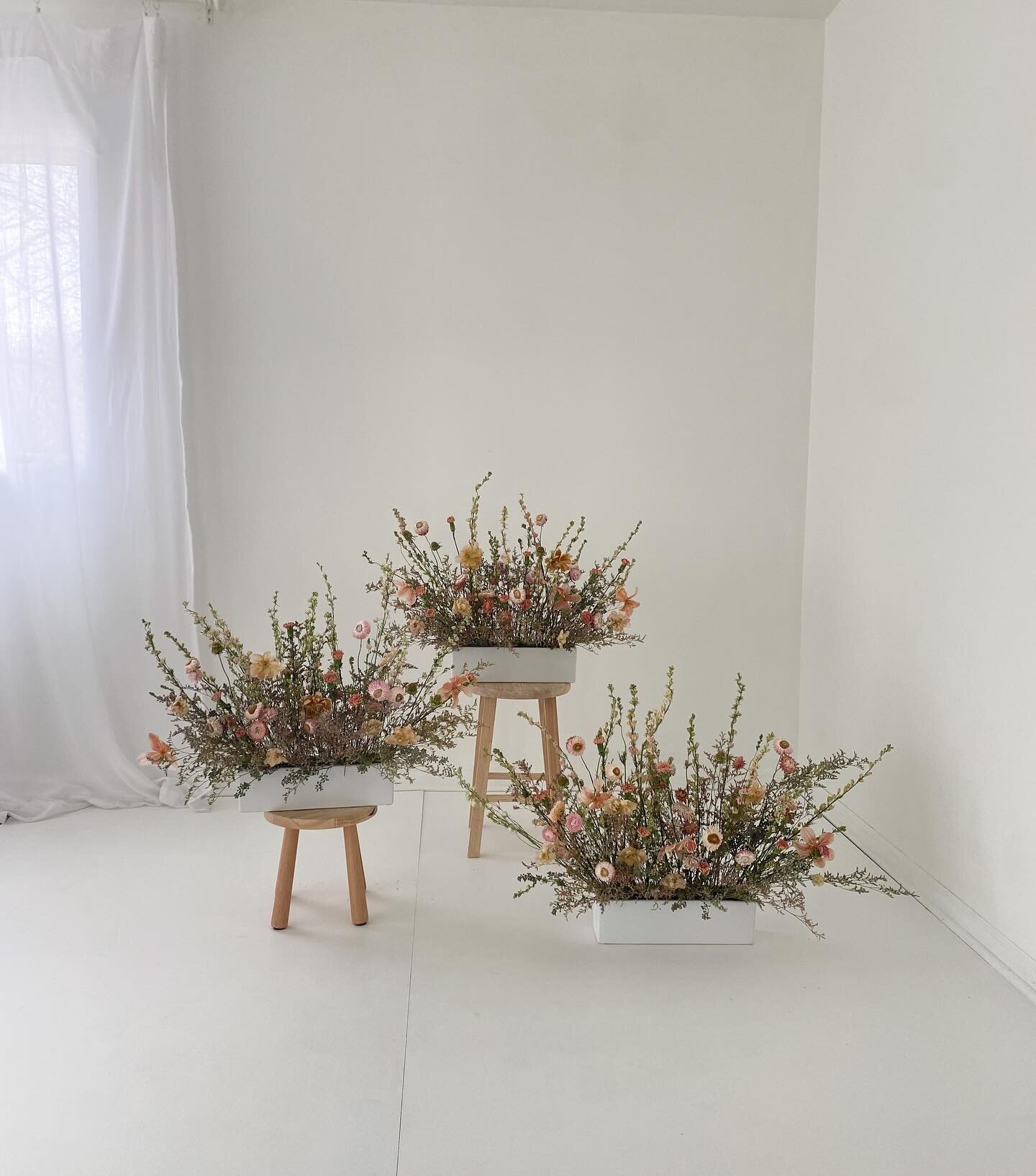 Our dried spring wildflower floral arrangements and temporary (moveable) white flooring is now set up in the studio! Cannot wait to see what is created with these! 🌸🫠🌼

We ask that you be extra careful with the arrangements and flooring if and whe