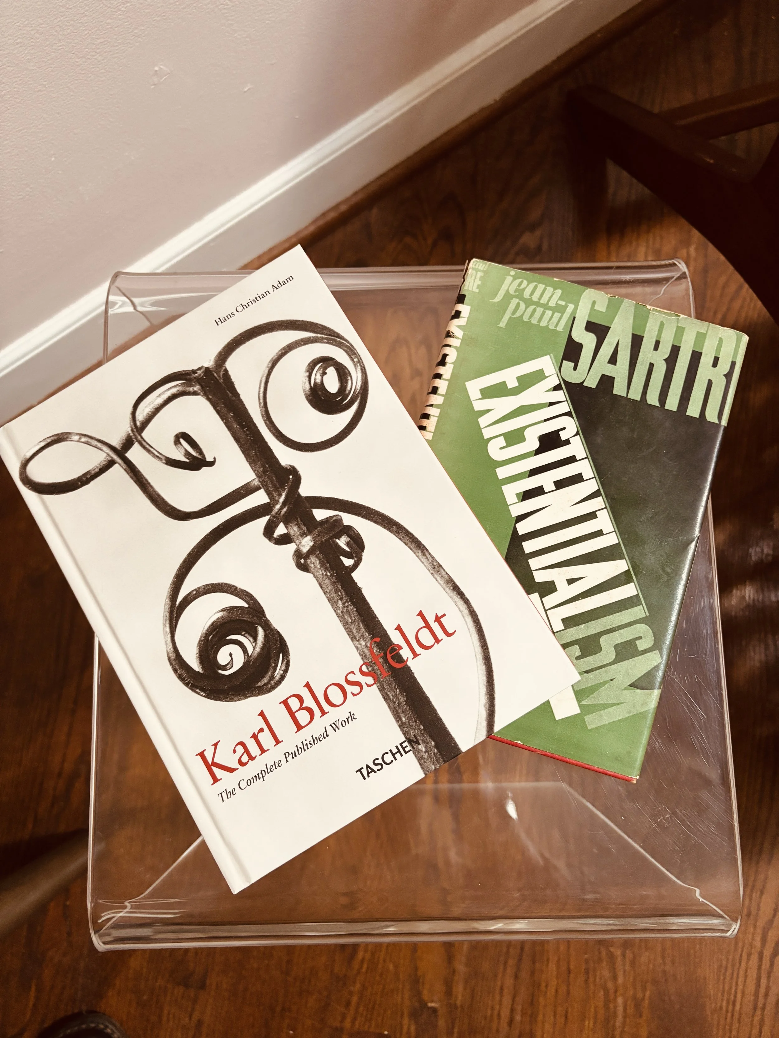 A clear plastic display case holding three books on a wooden surface. The book in front has a black and white cover with an illustration of a curl and the title 'Karl Blossfeldt.' The other two books have green and black covers with large, bold text.