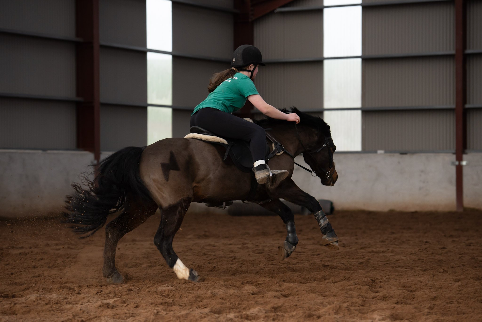 Northern Lights Barrel Racing Clinic - 22/03/26