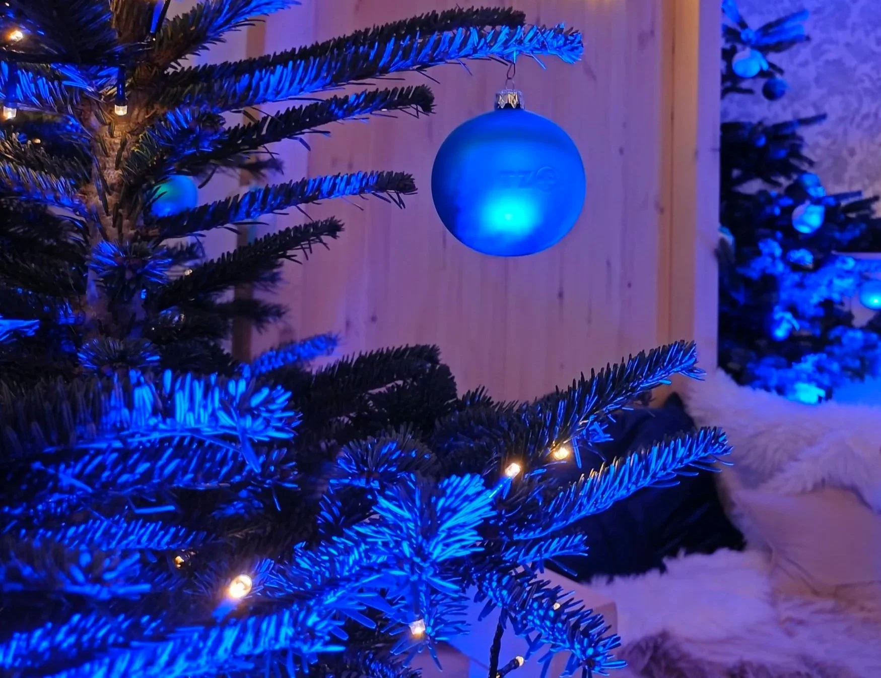 Spotkanie Świąteczne TZ