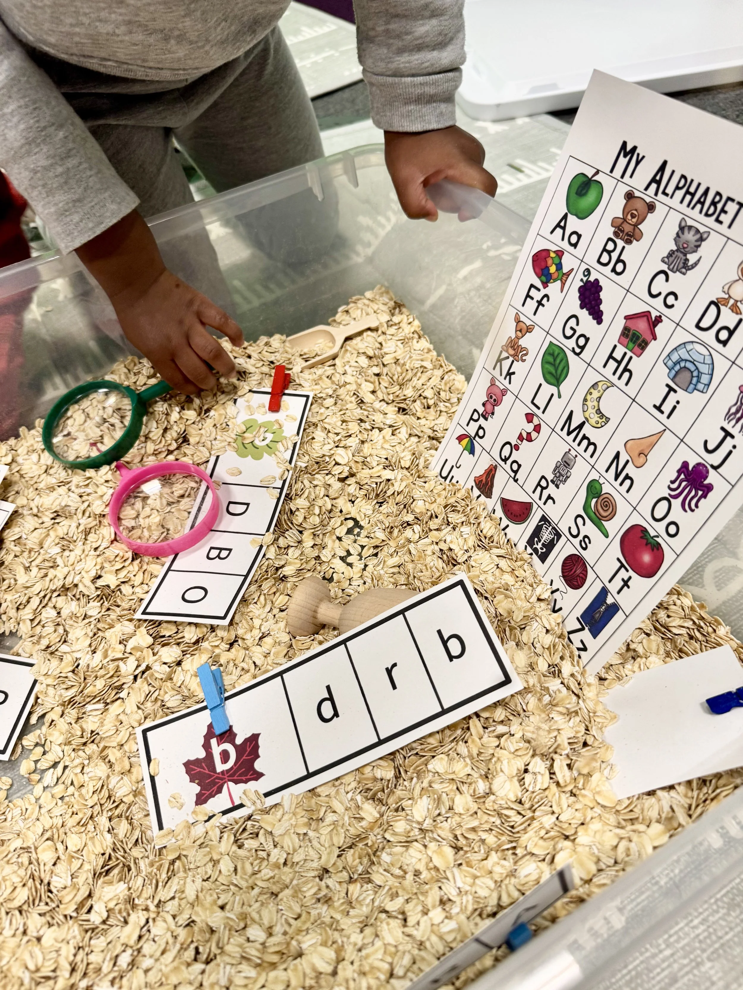 Fall Leaf Alphabet Clip Cards