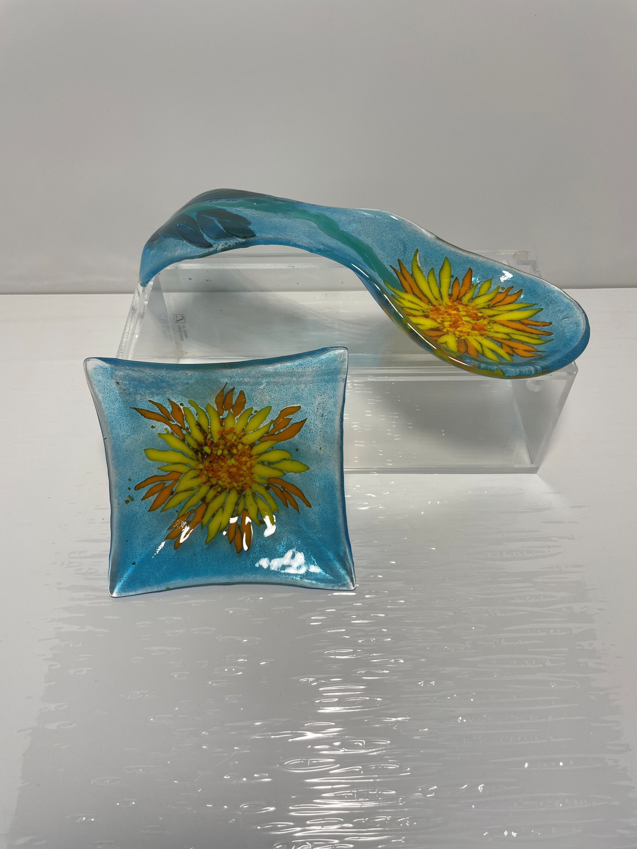 SP rest,dish mosaic.JPG