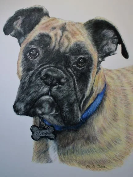 Floyd for Jennifer FINAL.PNG.JPG