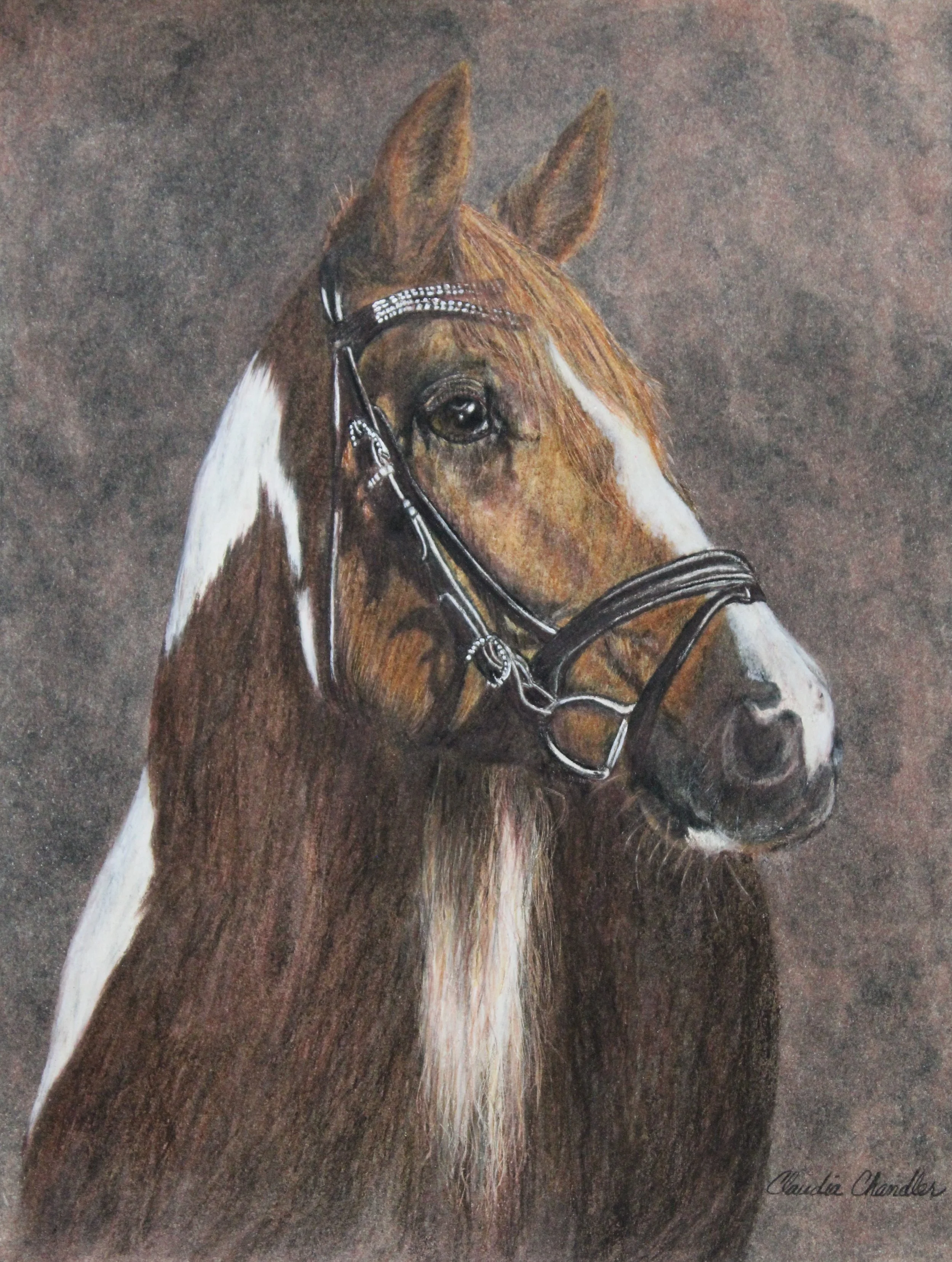 Horse