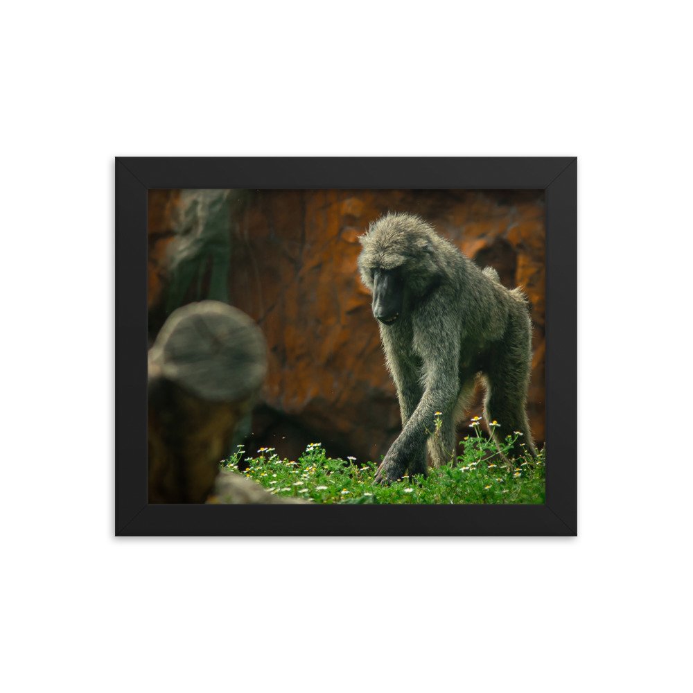 premium-luster-photo-paper-framed-poster-(in)-black-8x10-transparent-673d100db5b0c.jpg