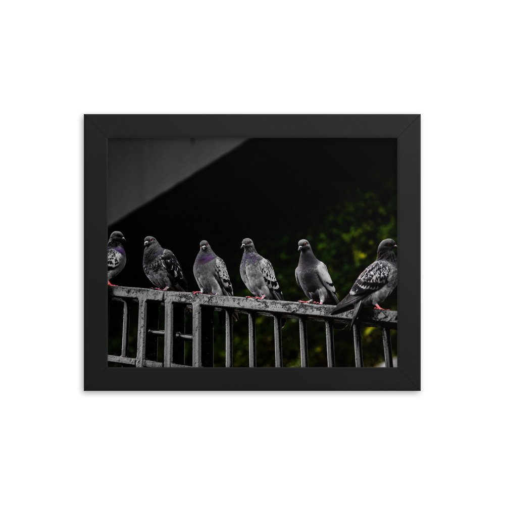 premium-luster-photo-paper-framed-poster-(in)-black-8x10-transparent-673d1508d8b1a.jpg