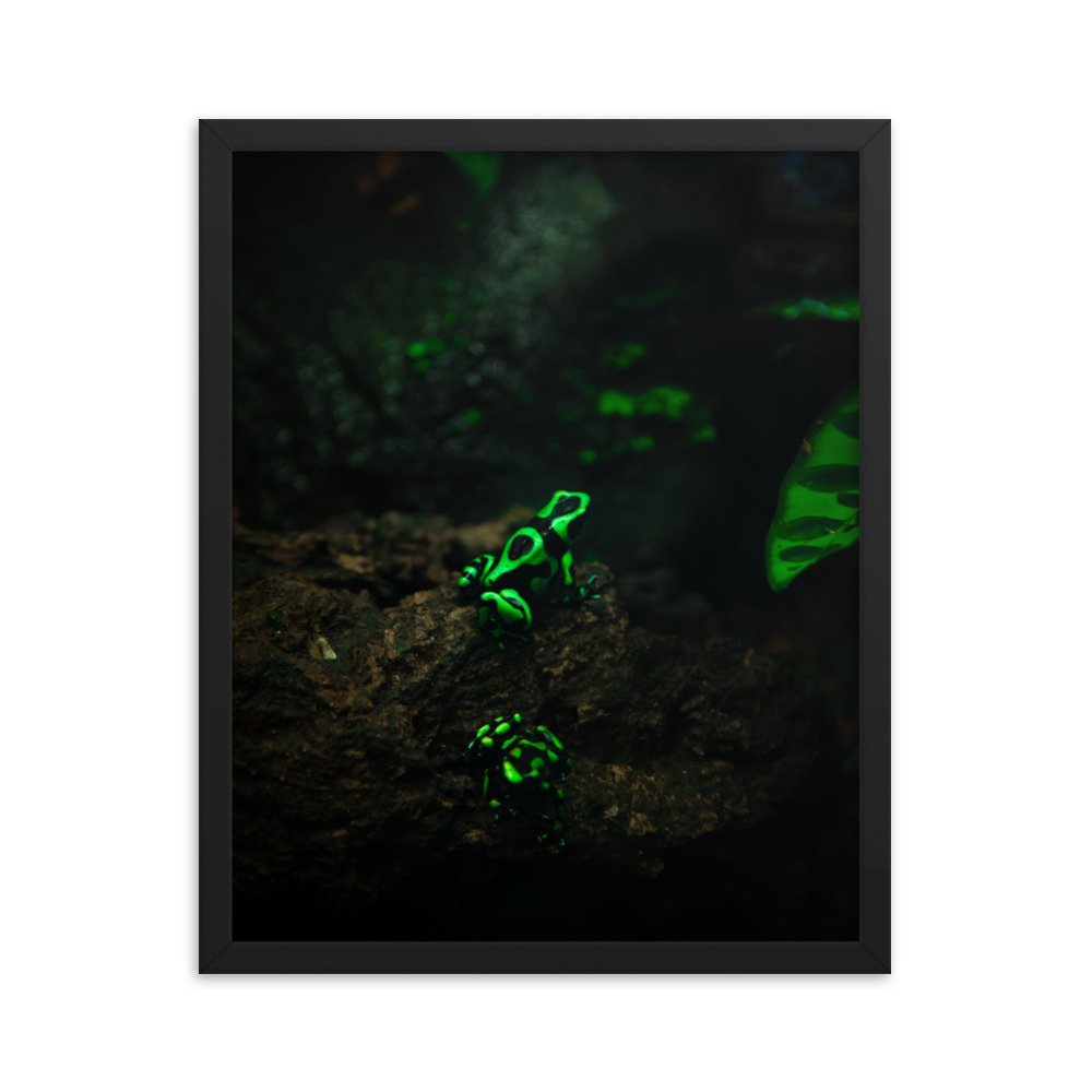 premium-luster-photo-paper-framed-poster-(in)-black-16x20-transparent-673d1bbfbc48c.jpg