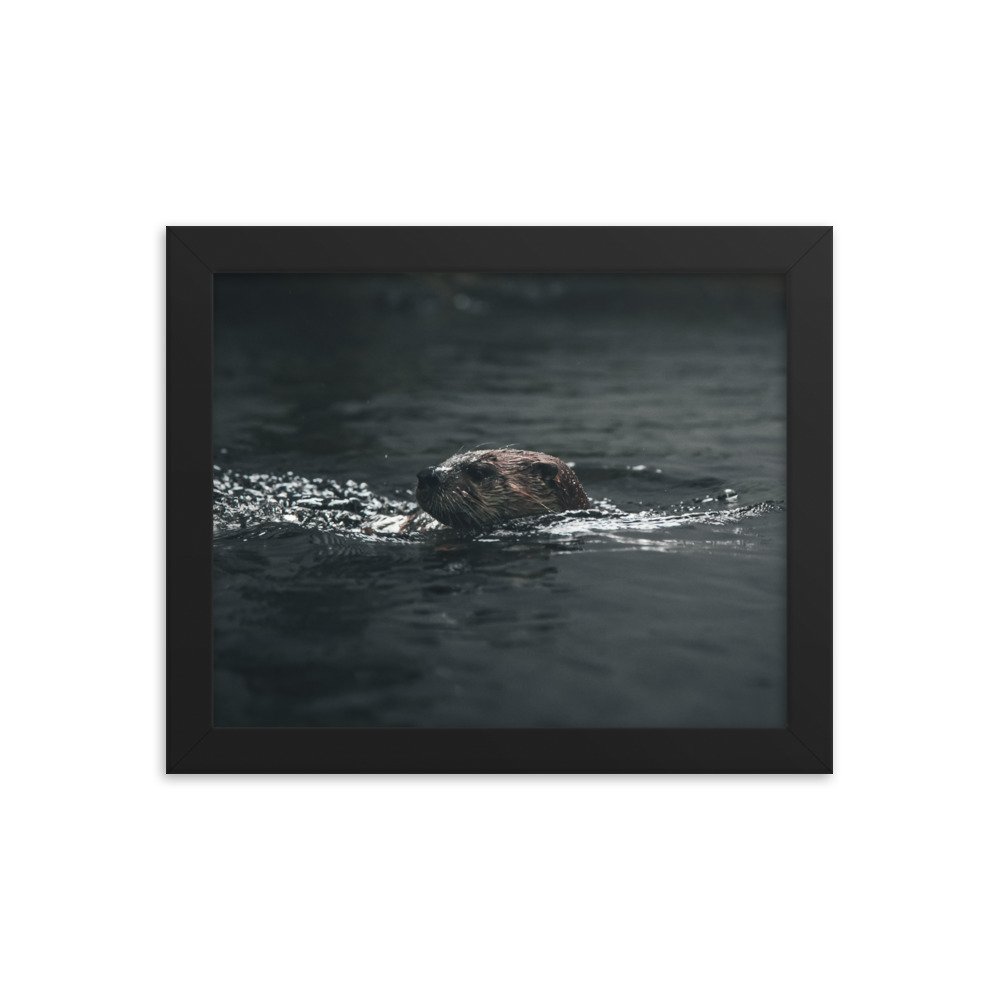 premium-luster-photo-paper-framed-poster-(in)-black-8x10-transparent-673d1ce0d45ff.jpg
