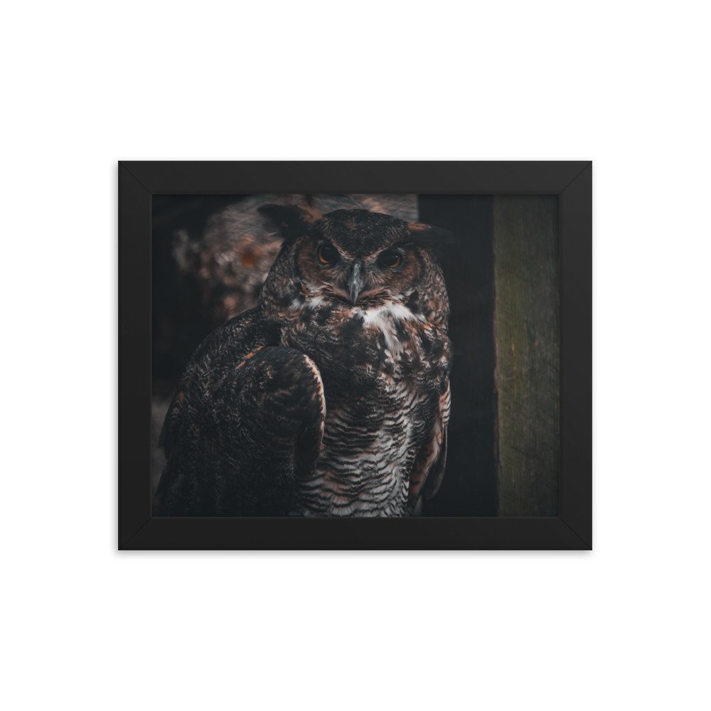 premium-luster-photo-paper-framed-poster-(in)-black-8x10-transparent-673d1f54d7591.jpg