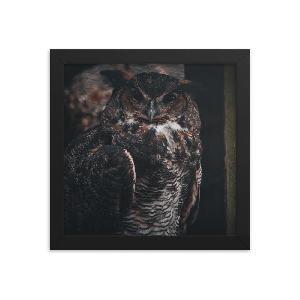premium-luster-photo-paper-framed-poster-(in)-black-10x10-transparent-673d1f54d7635.jpg