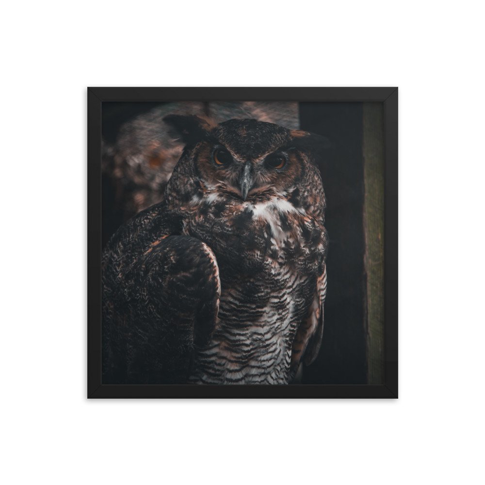 premium-luster-photo-paper-framed-poster-(in)-black-16x16-transparent-673d1f54d79a4.jpg