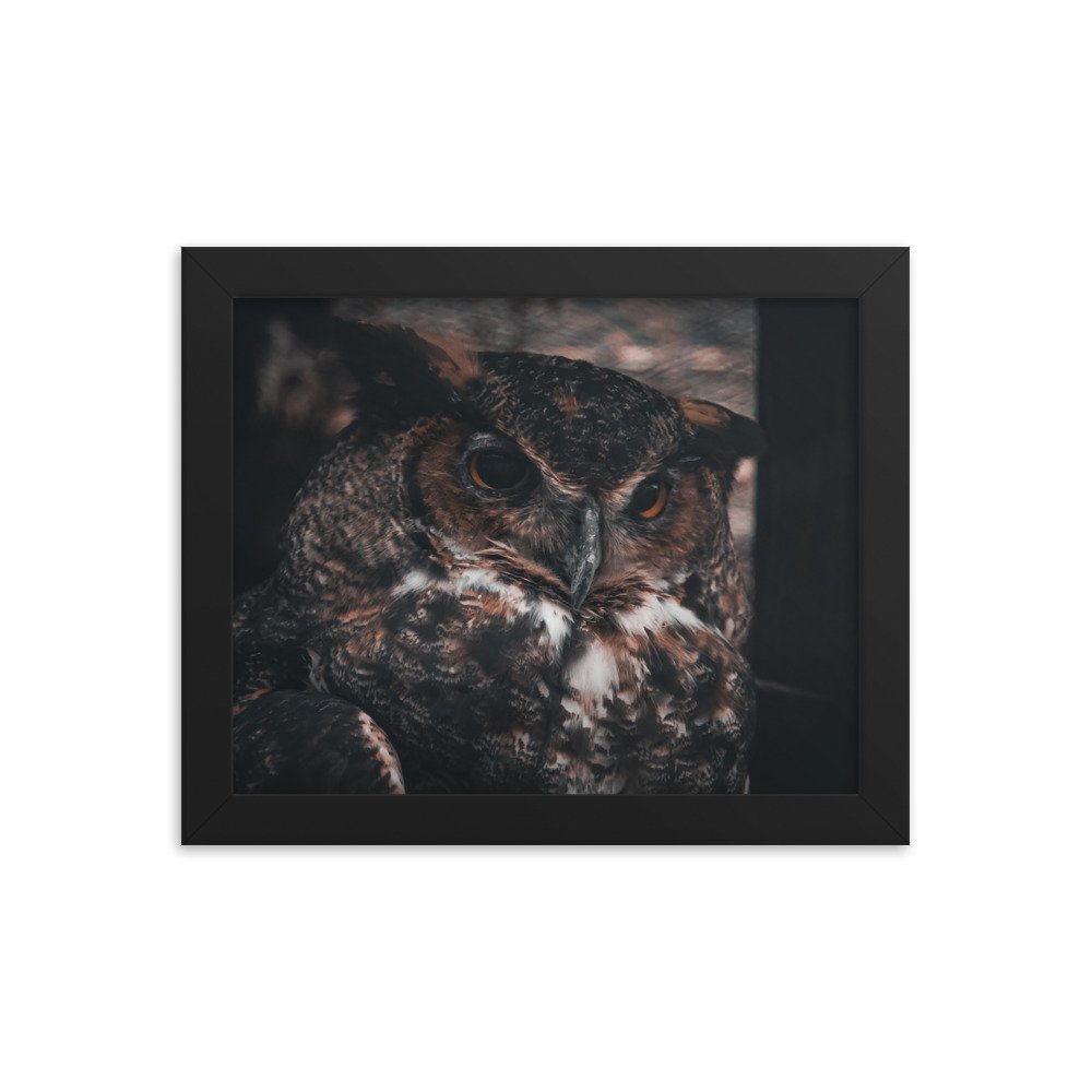 premium-luster-photo-paper-framed-poster-(in)-black-8x10-transparent-673d20608e773.jpg