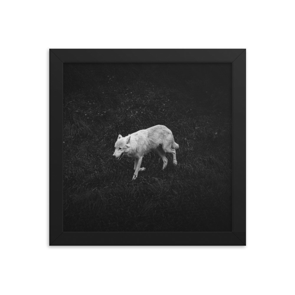 premium-luster-photo-paper-framed-poster-(in)-black-10x10-transparent-673d39270868c.jpg