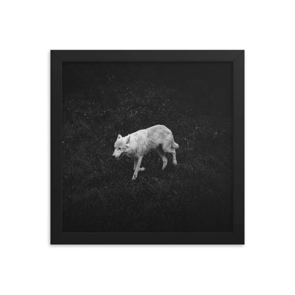 premium-luster-photo-paper-framed-poster-(in)-black-12x12-transparent-673d3927087ad.jpg