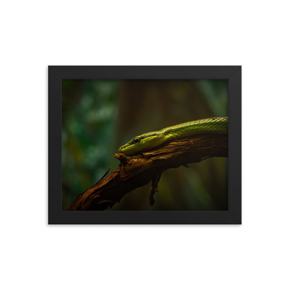 premium-luster-photo-paper-framed-poster-(in)-black-8x10-transparent-673d3d19d2b2a.jpg