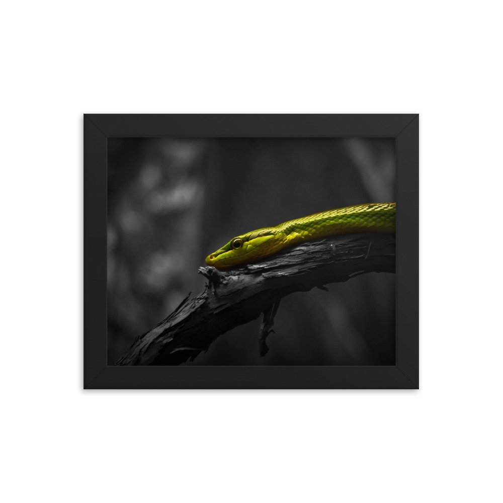 premium-luster-photo-paper-framed-poster-(in)-black-8x10-transparent-673d3e45a99ea.jpg