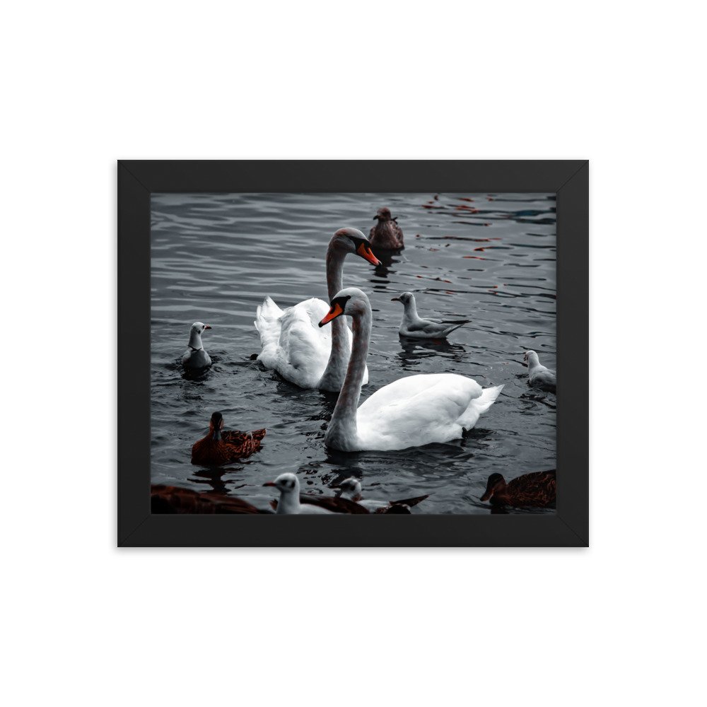 premium-luster-photo-paper-framed-poster-(in)-black-8x10-transparent-673e141f5ae9e.jpg