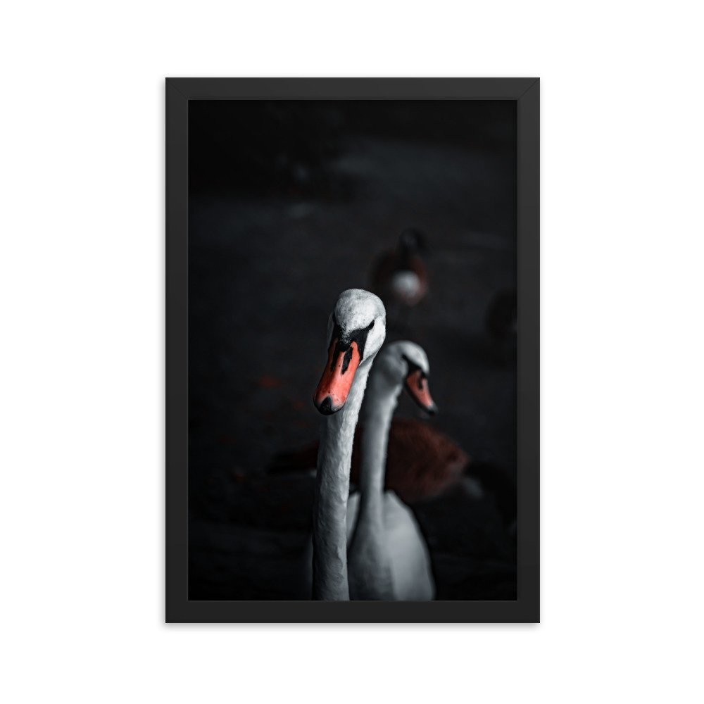 premium-luster-photo-paper-framed-poster-(in)-black-12x18-transparent-673e16a0ea166.jpg