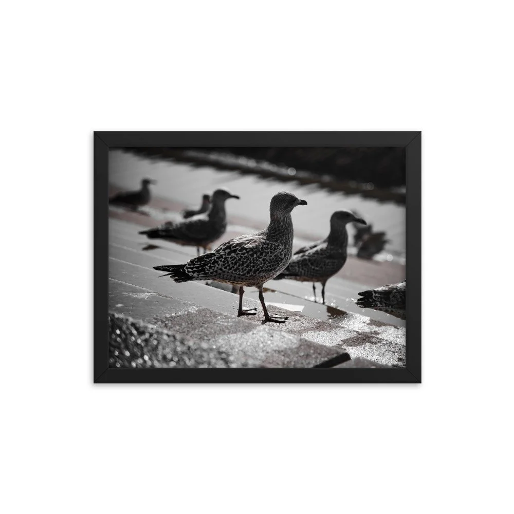 premium-luster-photo-paper-framed-poster-(in)-black-12x16-transparent-673e22bec15c2.jpg