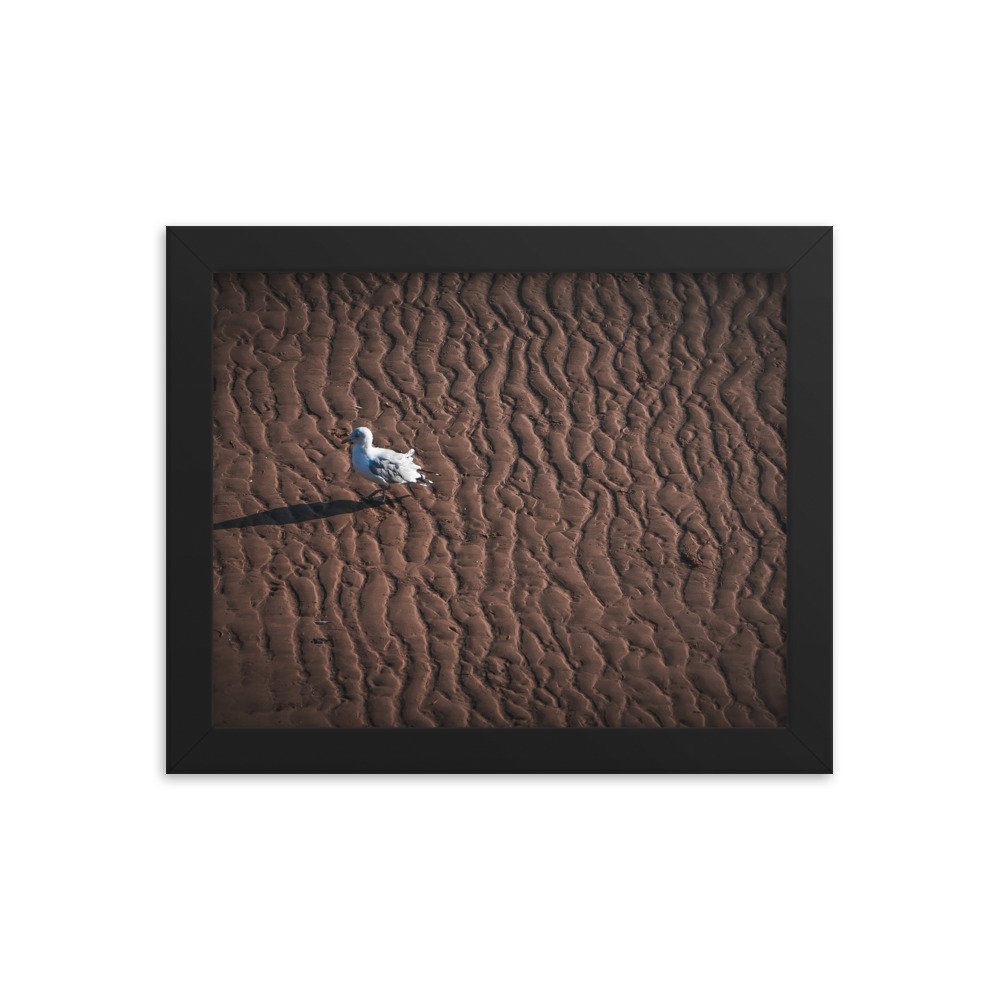 premium-luster-photo-paper-framed-poster-(in)-black-8x10-transparent-673e23b80faeb.jpg