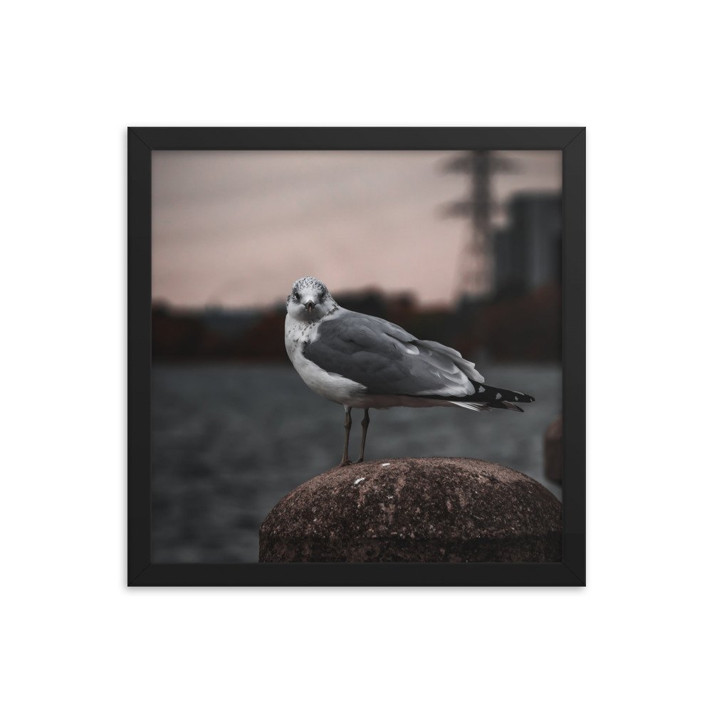 premium-luster-photo-paper-framed-poster-(in)-black-14x14-transparent-673e2873ce41e.jpg