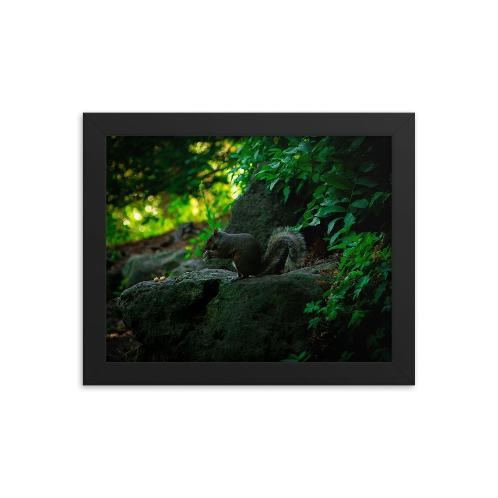 premium-luster-photo-paper-framed-poster-(in)-black-8x10-transparent-673e8ac901a22.jpg