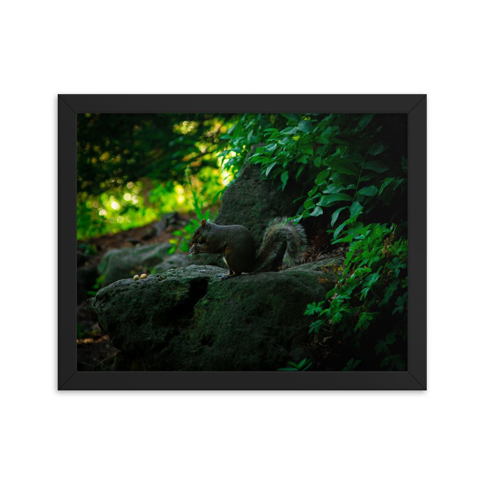 premium-luster-photo-paper-framed-poster-(in)-black-11x14-transparent-673e8ac901b61.jpg