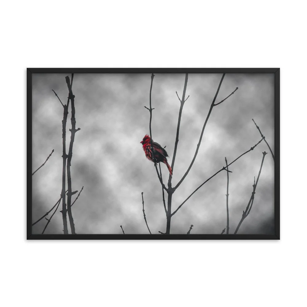 premium-luster-photo-paper-framed-poster-(in)-black-24x36-transparent-673e9615f0fa5.jpg