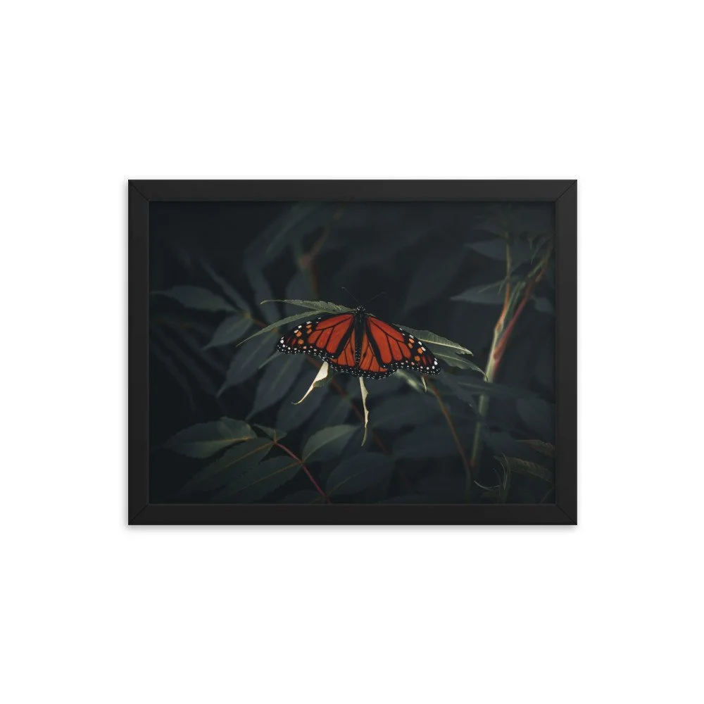premium-luster-photo-paper-framed-poster-(in)-black-12x16-transparent-673eaf91237cd.jpg