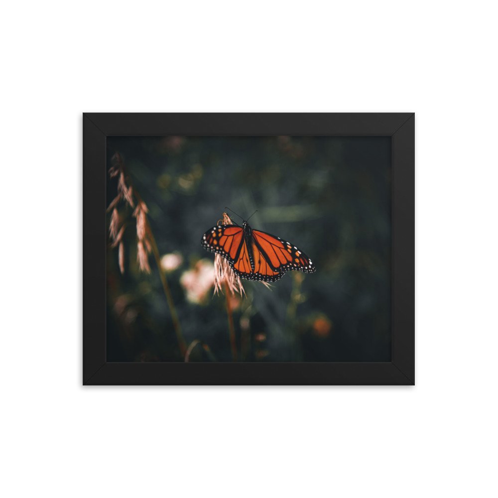 premium-luster-photo-paper-framed-poster-(in)-black-8x10-transparent-673eb08e4e5e7.jpg