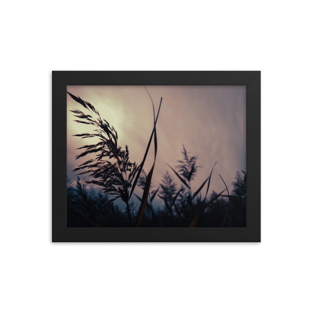 premium-luster-photo-paper-framed-poster-(in)-black-8x10-transparent-674e1736ad98c.jpg