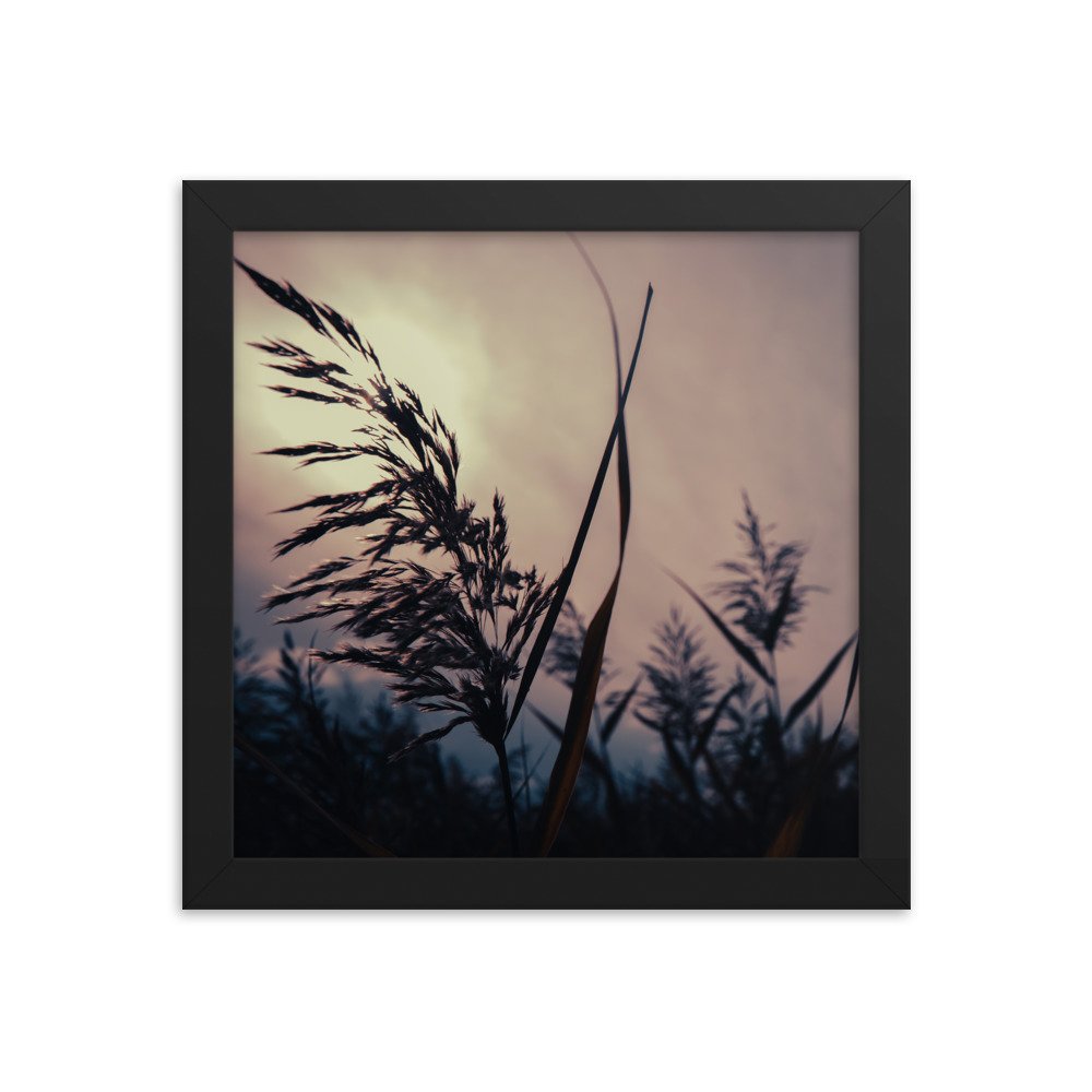 premium-luster-photo-paper-framed-poster-(in)-black-10x10-transparent-674e1736ada4c.jpg
