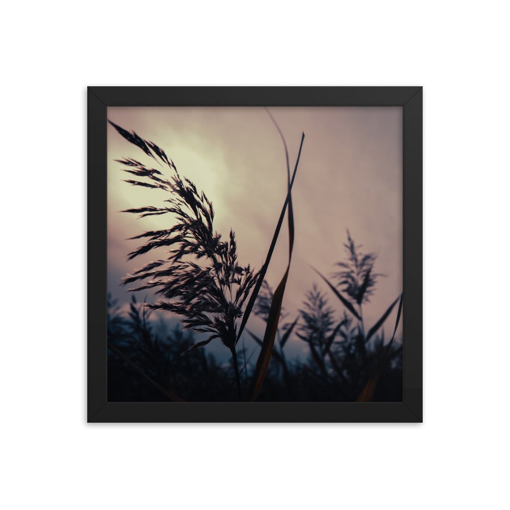 premium-luster-photo-paper-framed-poster-(in)-black-12x12-transparent-674e1736adb69.jpg