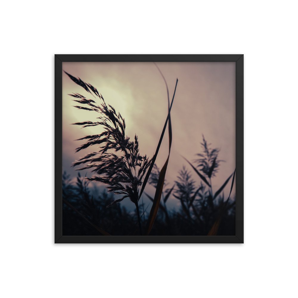 premium-luster-photo-paper-framed-poster-(in)-black-18x18-transparent-674e1736adeb2.jpg