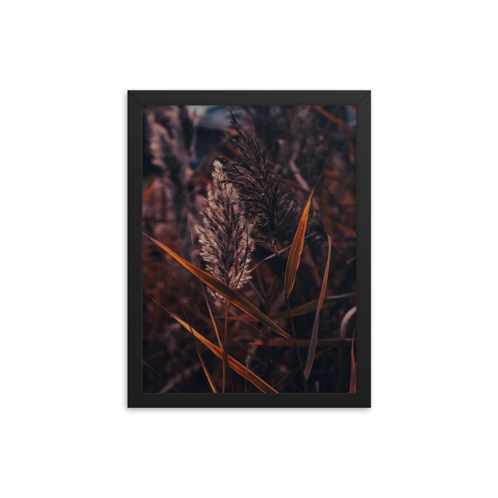 premium-luster-photo-paper-framed-poster-(in)-black-12x16-transparent-674e18c989b51.jpg