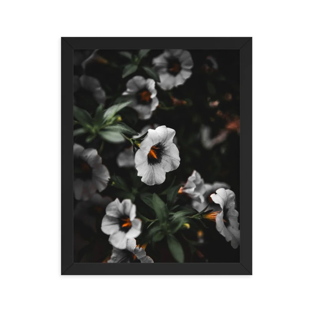 premium-luster-photo-paper-framed-poster-(in)-black-11x14-transparent-674e1a106e2d3.jpg