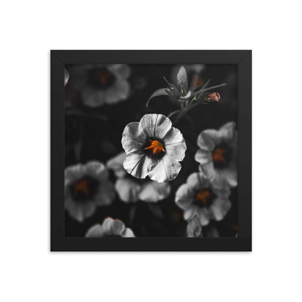 premium-luster-photo-paper-framed-poster-(in)-black-10x10-transparent-674e1b3eaf5e8.jpg